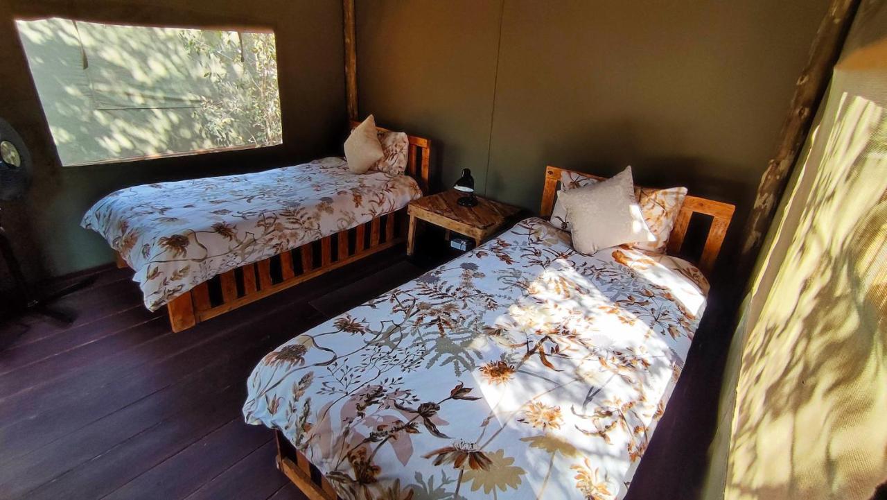 Elephant Trail Guesthouse And Backpackers Kasane Luaran gambar