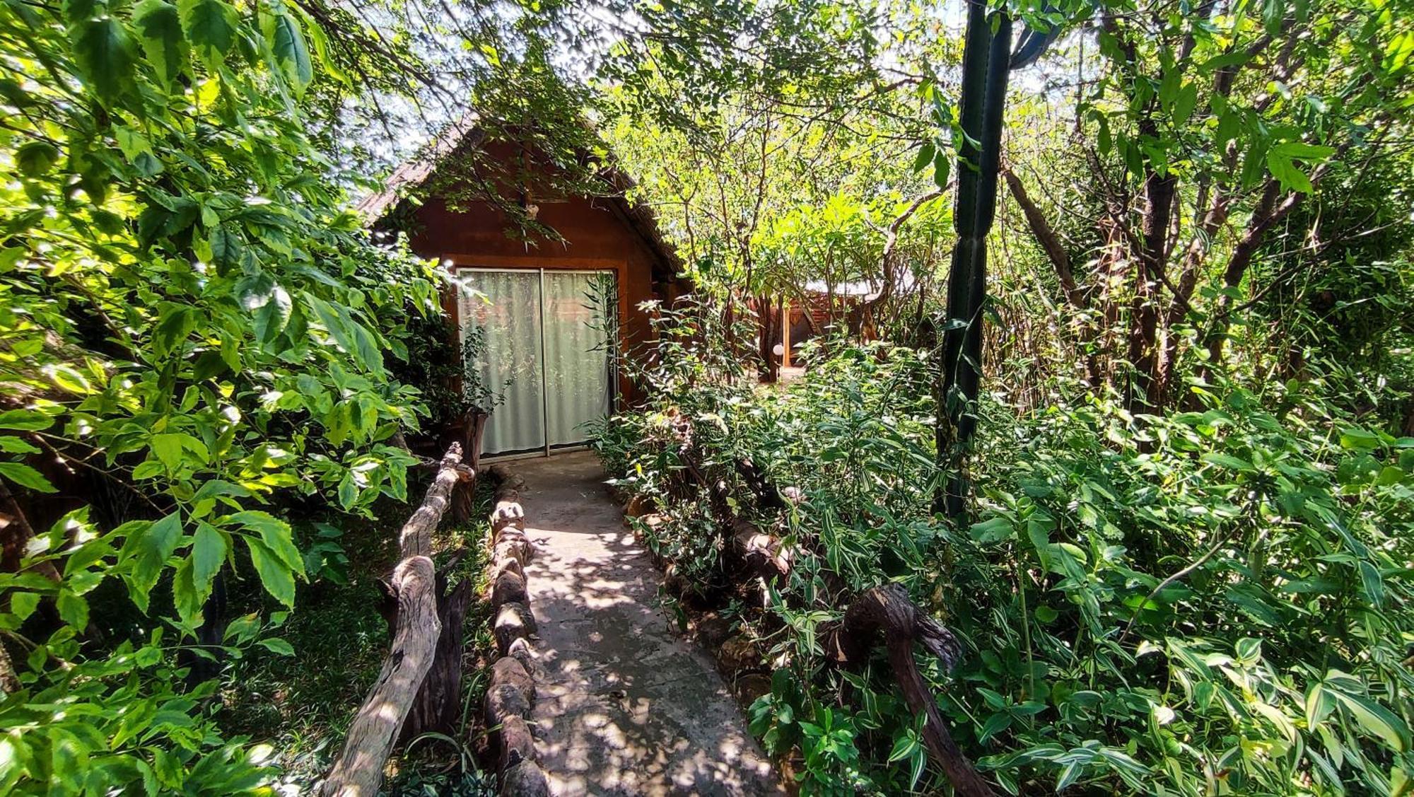 Elephant Trail Guesthouse And Backpackers Kasane Luaran gambar