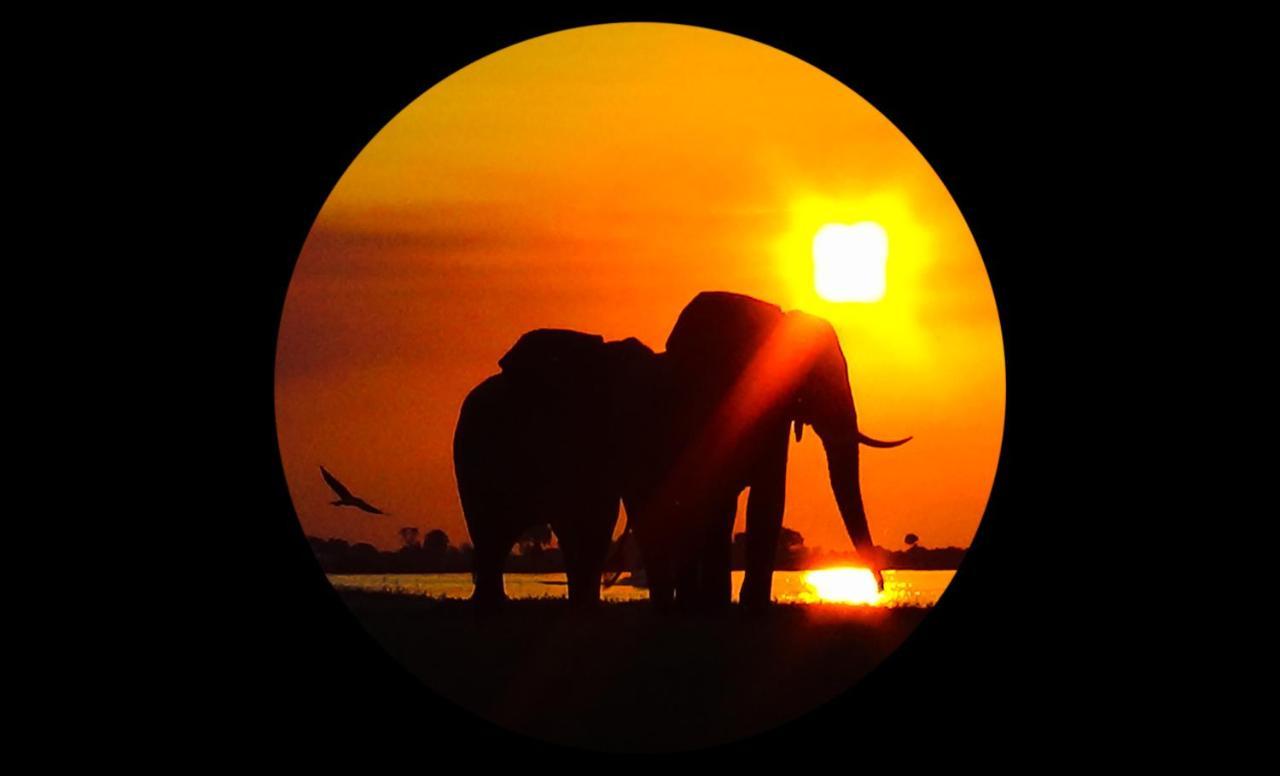 Elephant Trail Guesthouse And Backpackers Kasane Luaran gambar
